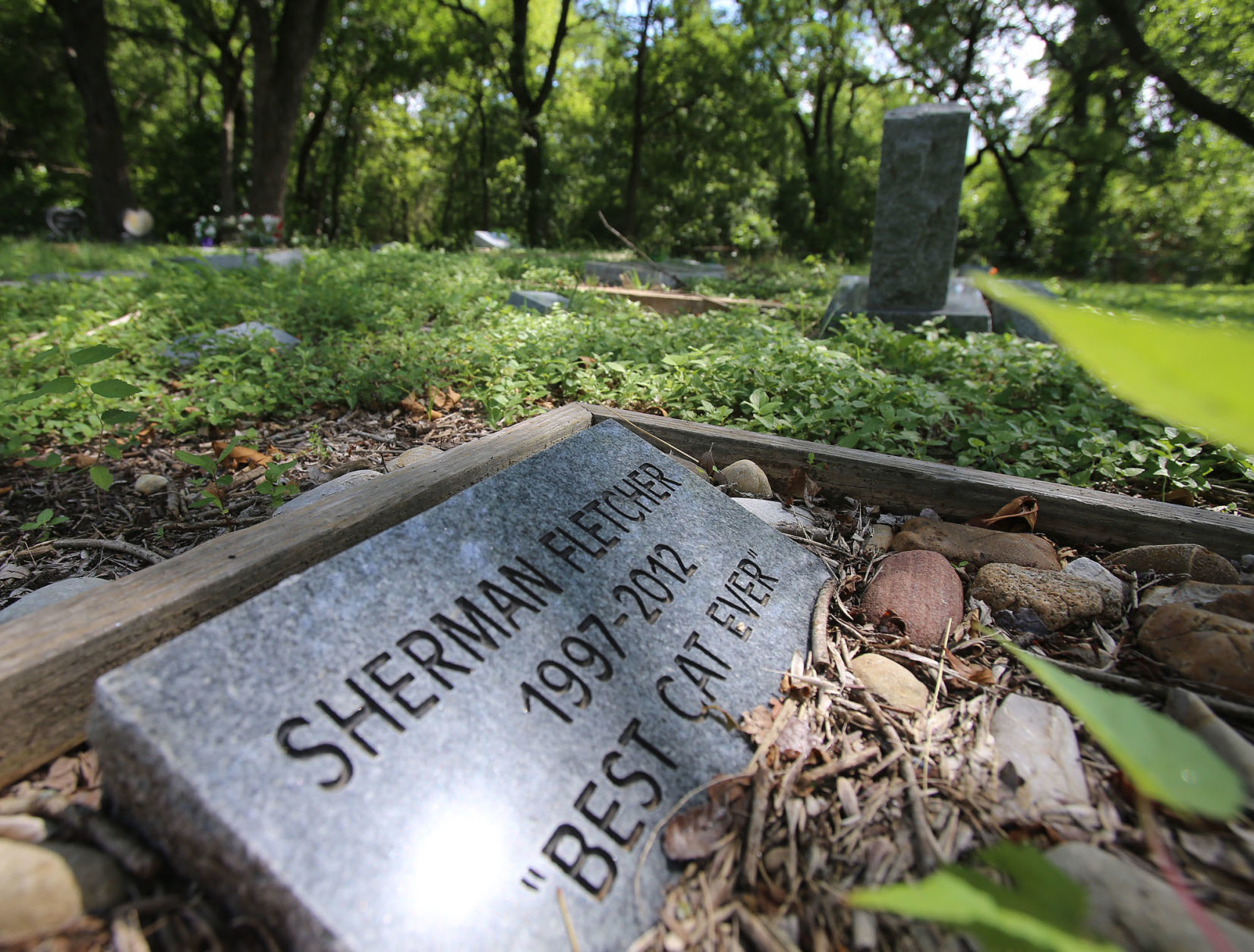 20190714_loc_pet_cemetery_jl5